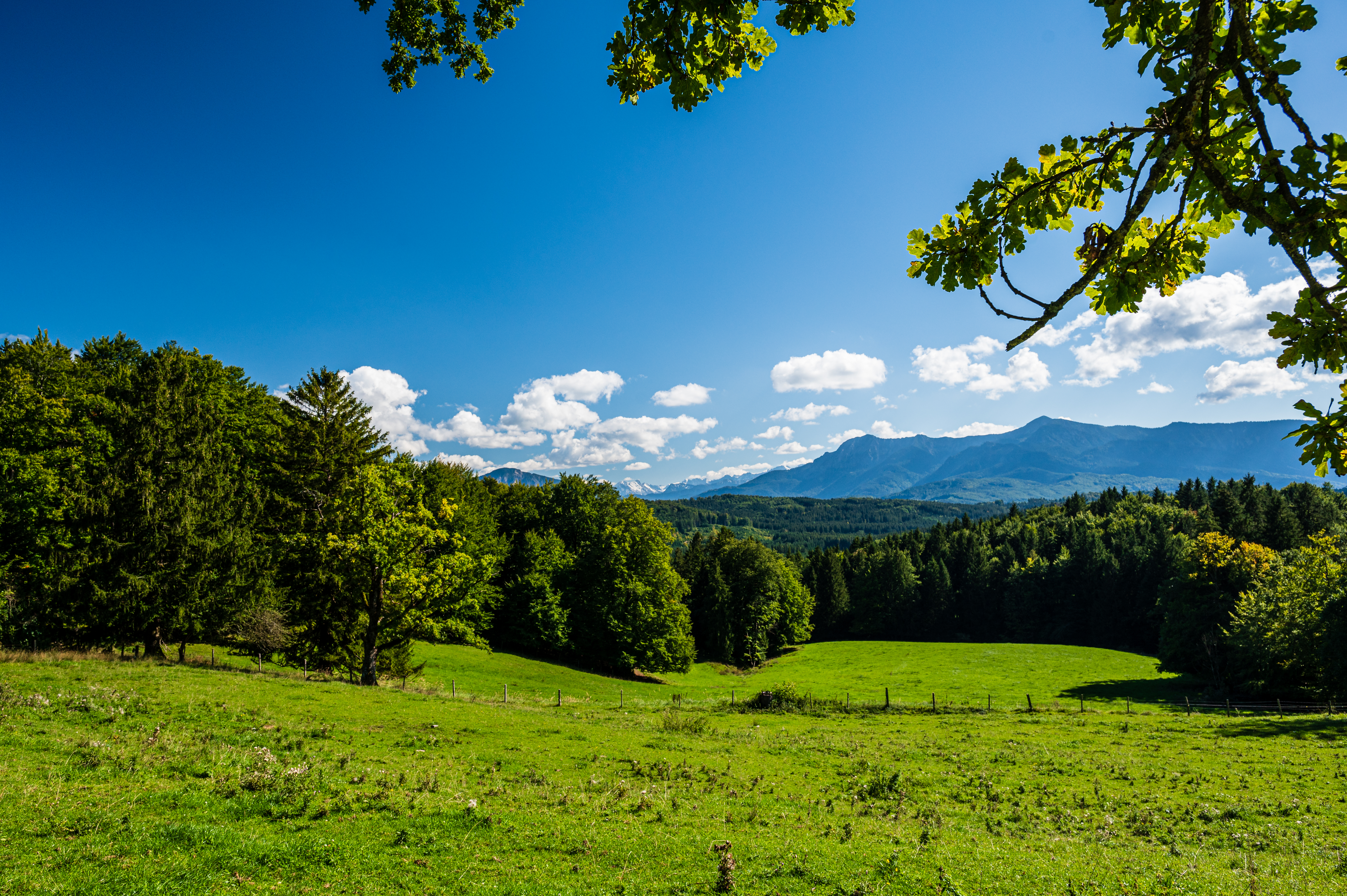 Wanderung Aidlinger Höhe
